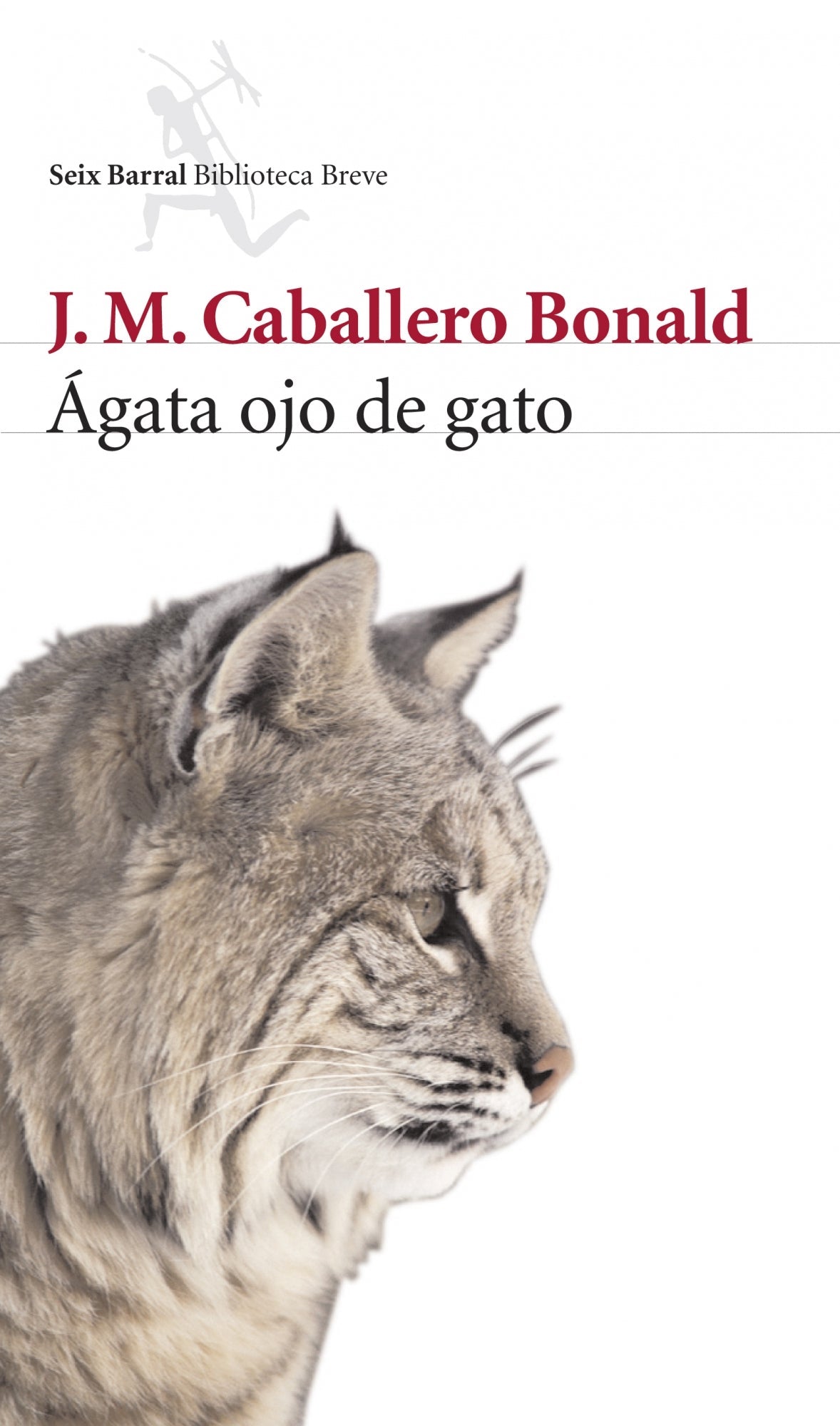 Ágata ojo de gato - Ispalbooks España